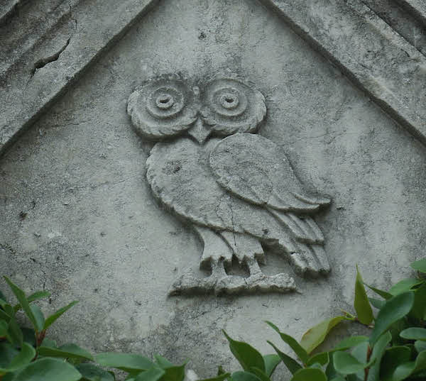 Rice Stone Owl Detail