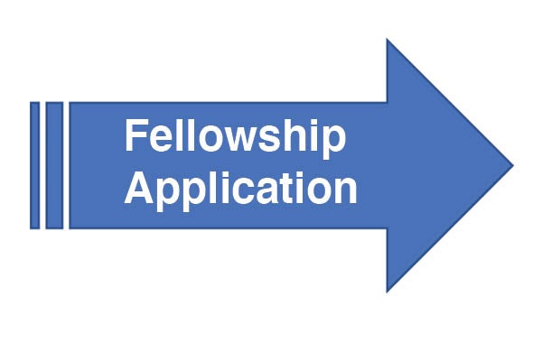 Fellowship Application