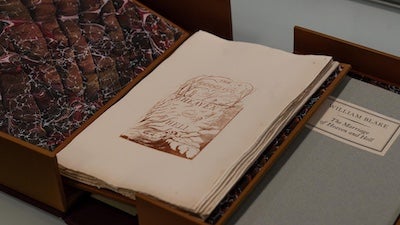 More than words: the degree that does it all