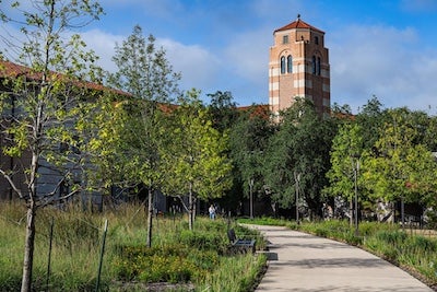 Rice University School of Humanities and Arts