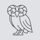 Rice Owl image